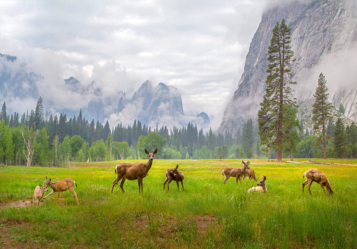 A Feeling of Ancient Time Poster