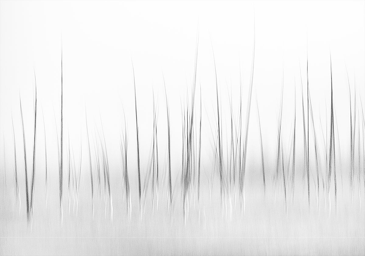 Wintry scenery in Yellowstone