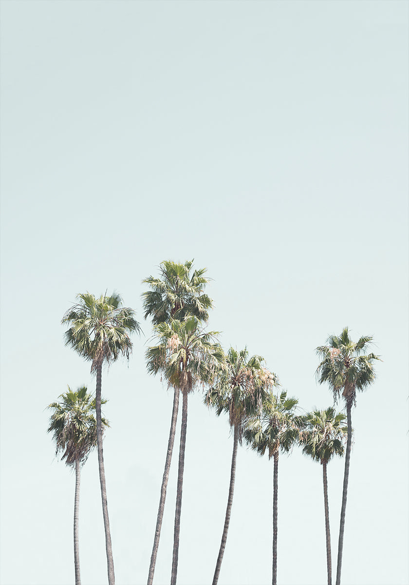 Blue Palm Trees Poster