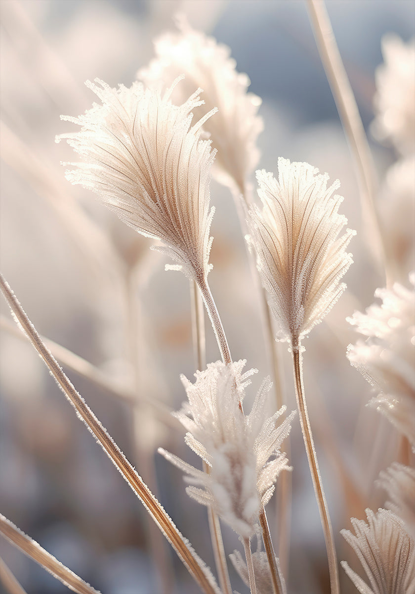 Frosted Elegance Poster