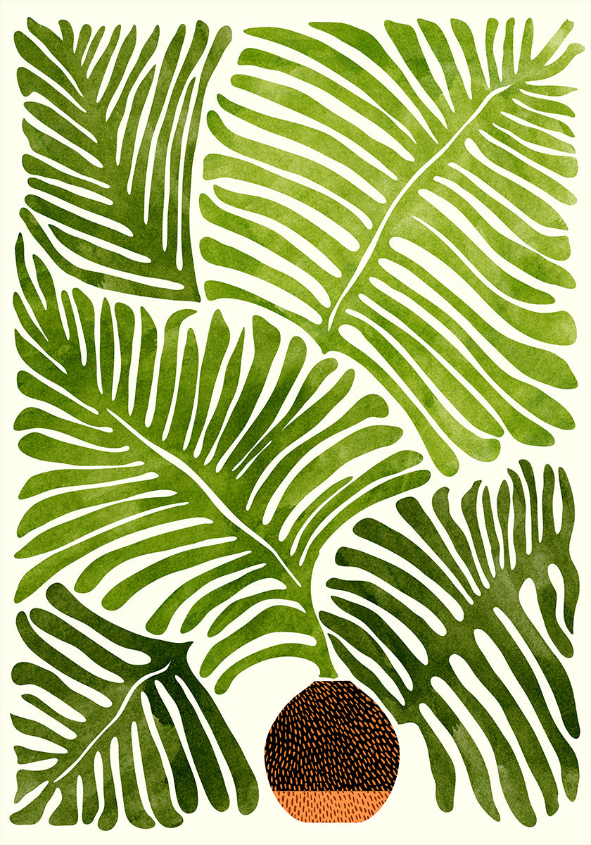 Summer Fern