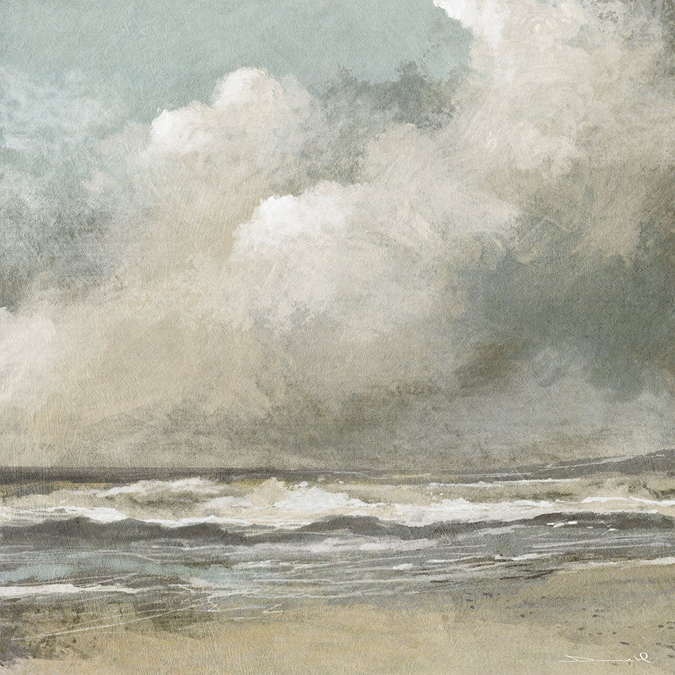 Misty Beach Poster