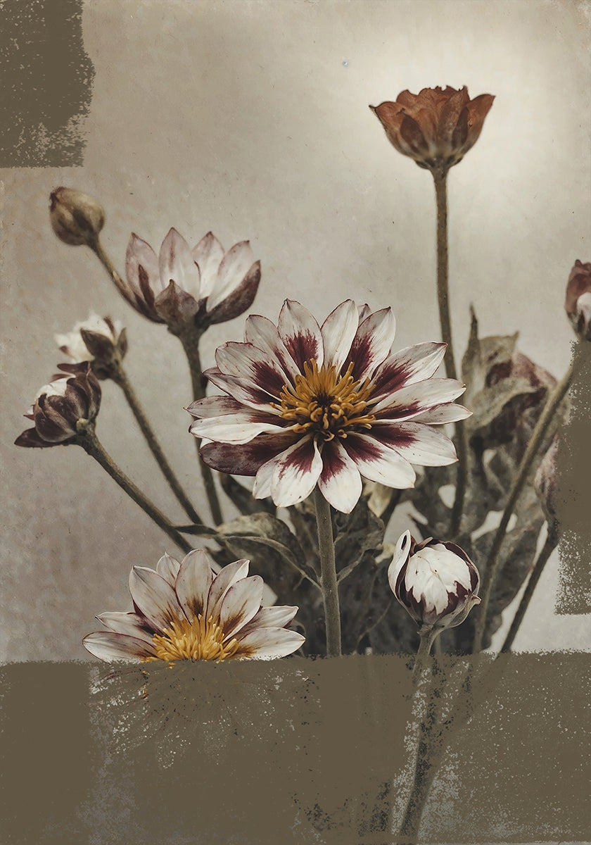 5 Vintage Flowers Poster