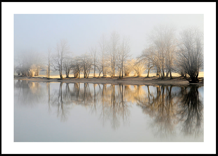 january morning  Poster