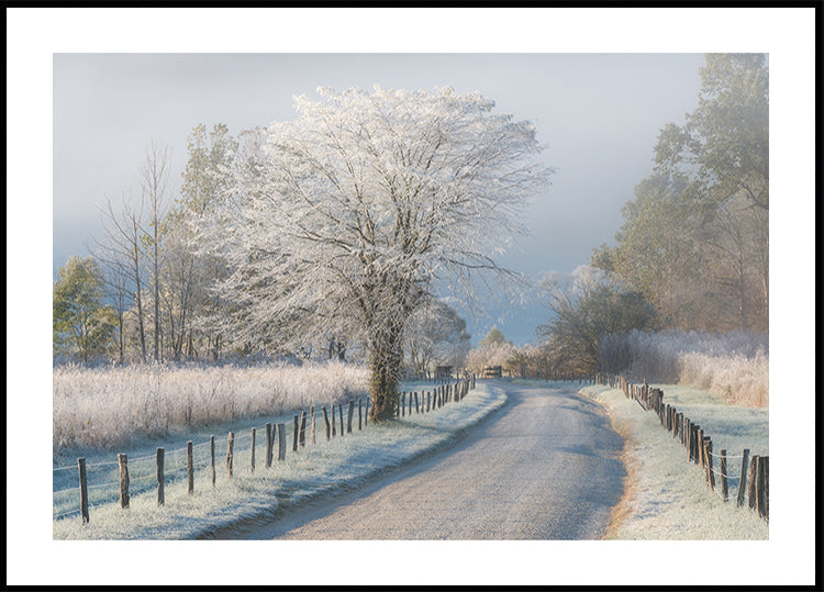 A Frosty Morning Poster