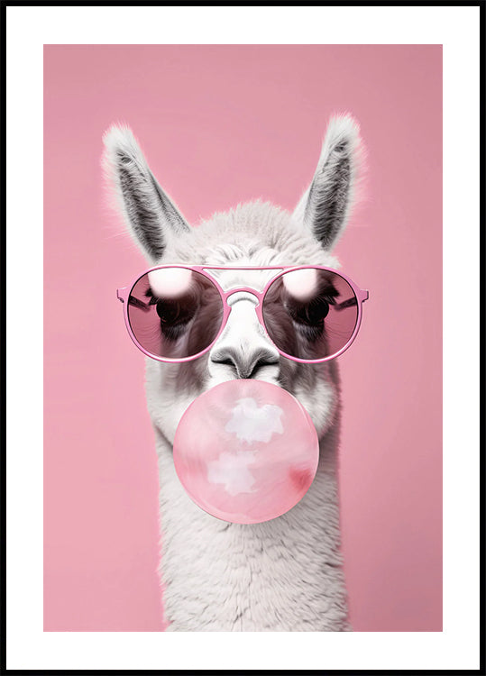 Llama with Bubble Gum Poster