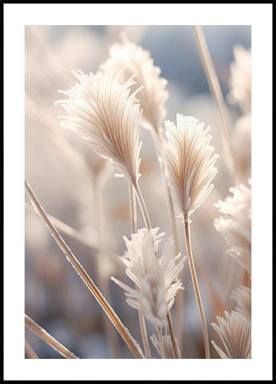 Frosted Elegance Poster