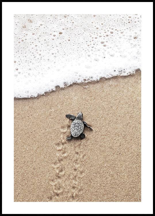 Baby Turtle Meets the Sea Poster