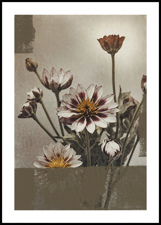 5 Vintage Flowers Poster