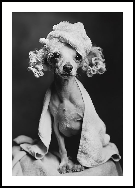 Spa Day Pooch Poster