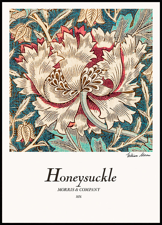 Honeysuckle