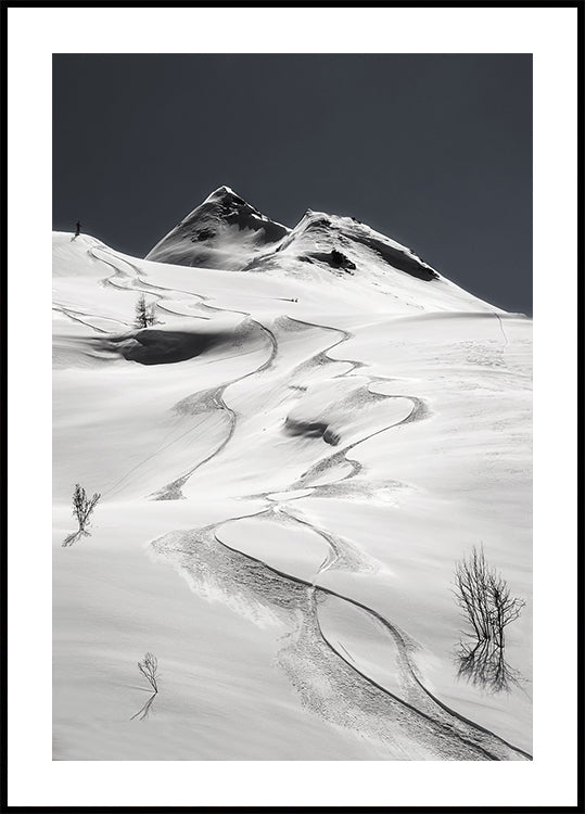 freeride Poster
