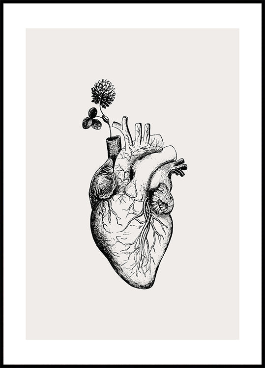 Heart Bloom Poster – Posterbox.uk