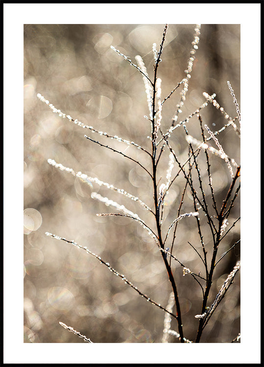 A Winter Morning 5 Poster