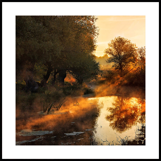 When nature paints with light I Poster