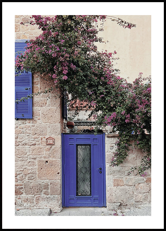 Vibrant Doorway with Bougainvillea Poster