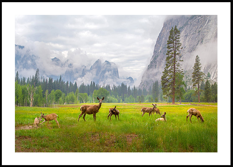 A Feeling of Ancient Time Poster