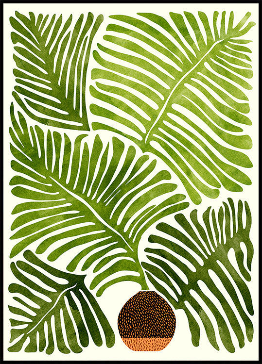 Summer Fern
