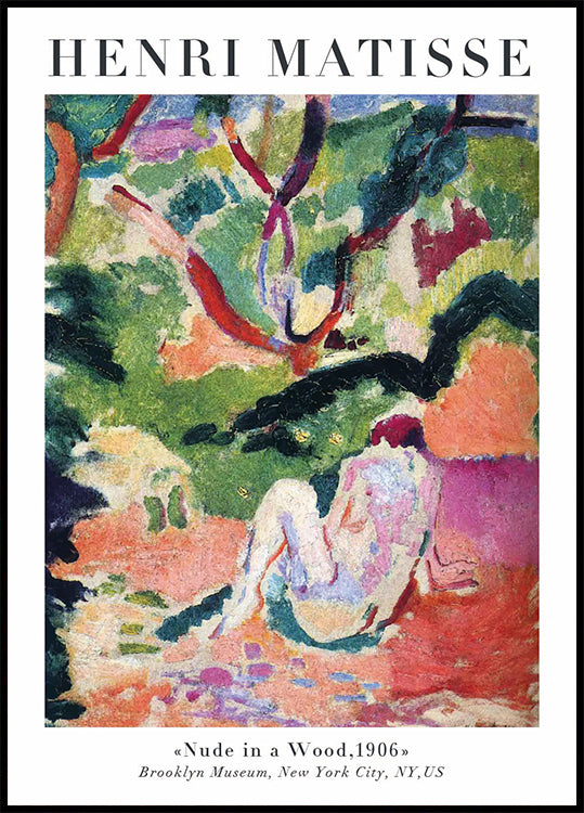 Henri Matisse Nude in a Wood Poster