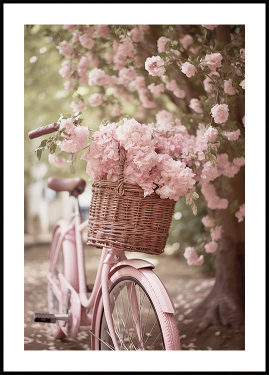Pink Bicycle and Blossoms Poster