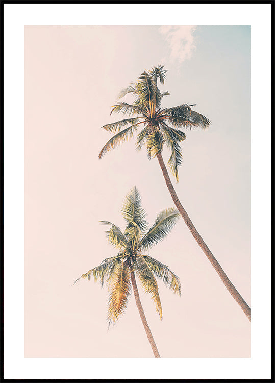 Tropical Palms Poster