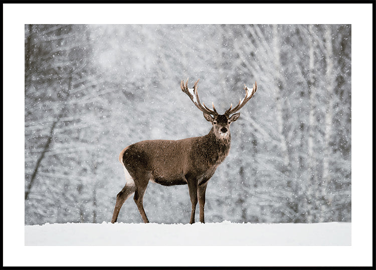Majestic Deer in Snowy Forest Poster