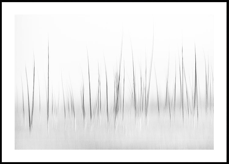 Wintry scenery in Yellowstone