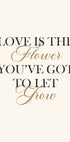 Love Is The Flower Plakat - Posterbox.no