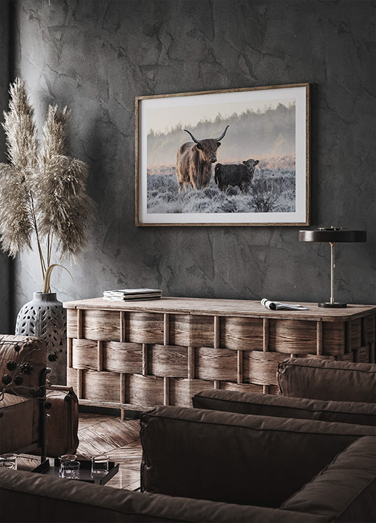 Highlander and Calf Poster