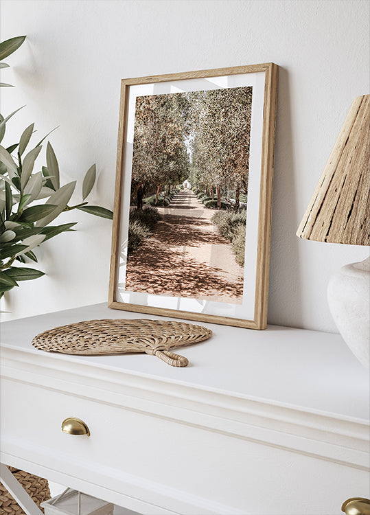 A Serene Tree Lined Path with Sunlight  Poster