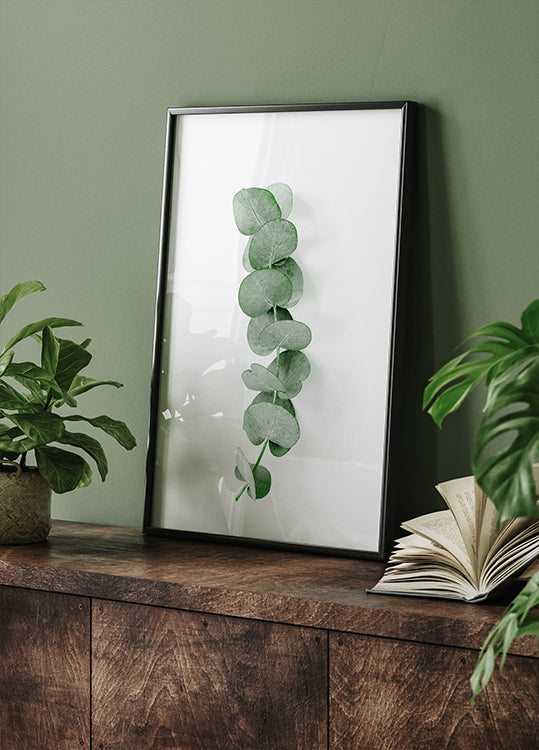 Eucalyptus Leaf Poster