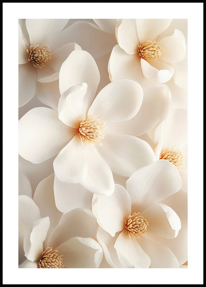 a picture of a bunch of white flowers