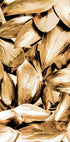 Gold Leaves Plakat - Posterbox.no