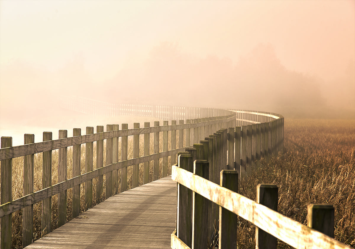 The Path gets brighter.