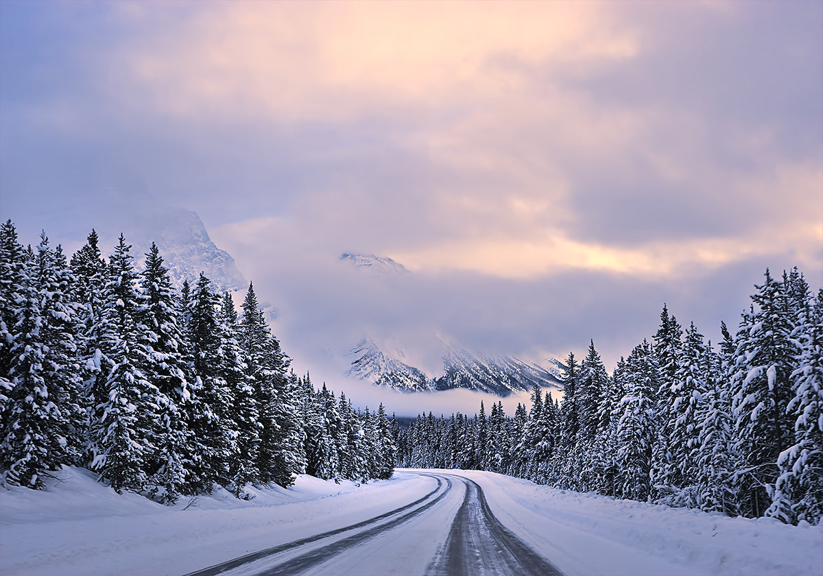 To the Wonderland Poster