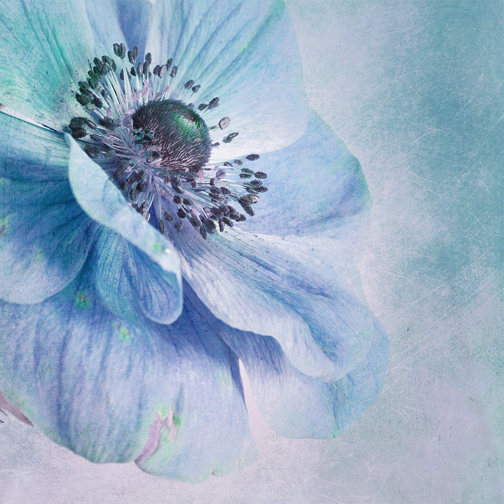 Shades of Blue Poster