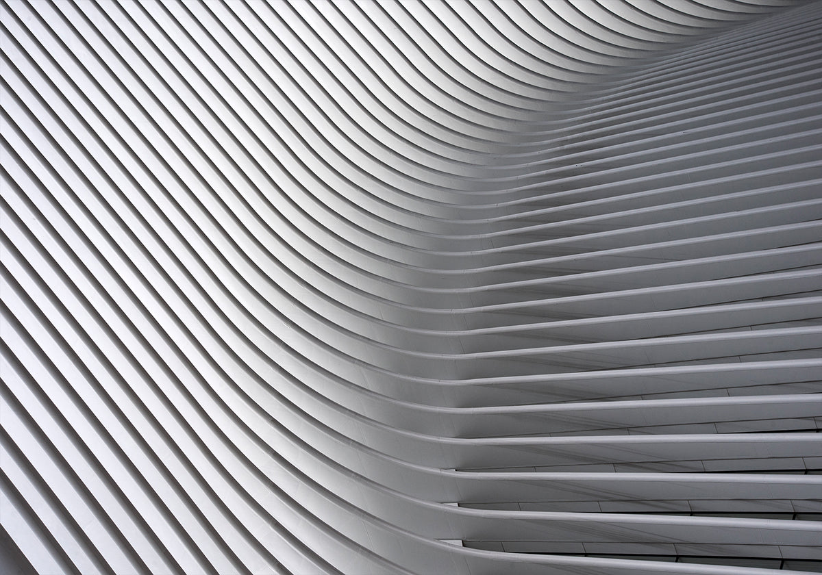 Calatrava Curves # 2 Poster