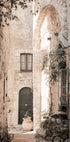 a narrow alley way with a potted plant on the side