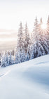 Winter Sunrise Plakat - Posterbox.no
