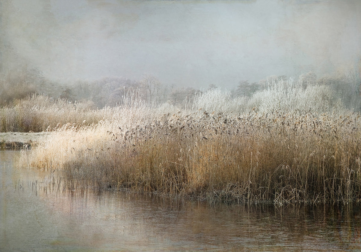 Wintermorning Poster