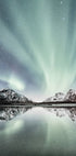 Northern Light Aurora Borealis Plakat - Posterbox.no