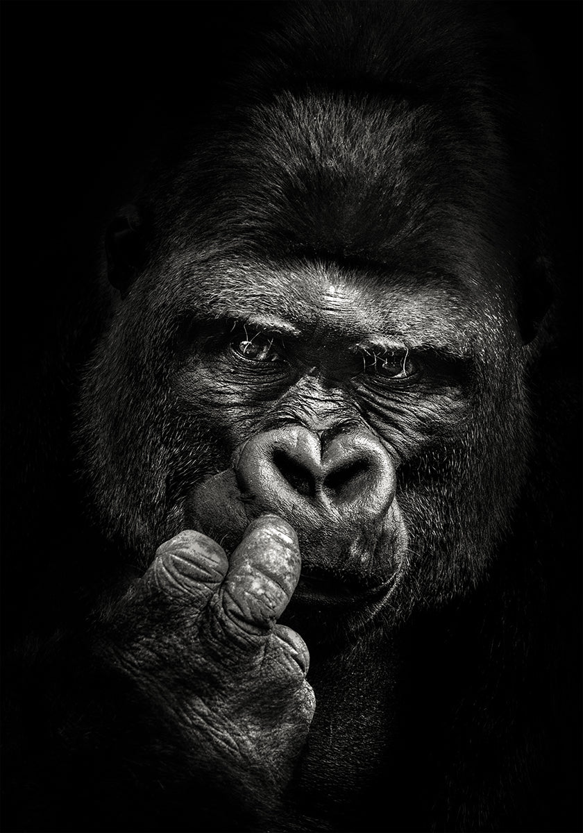Attitude  Poster