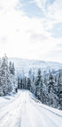 Winter Norway Road Plakat - Posterbox.no