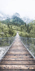 Adventure on the Hanging Bridge Plakat - Posterbox.no