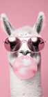 Llama With Bubble Gum Plakat - Posterbox.no