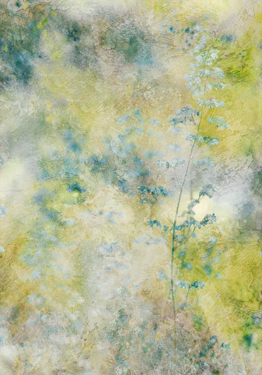 Everything Poster