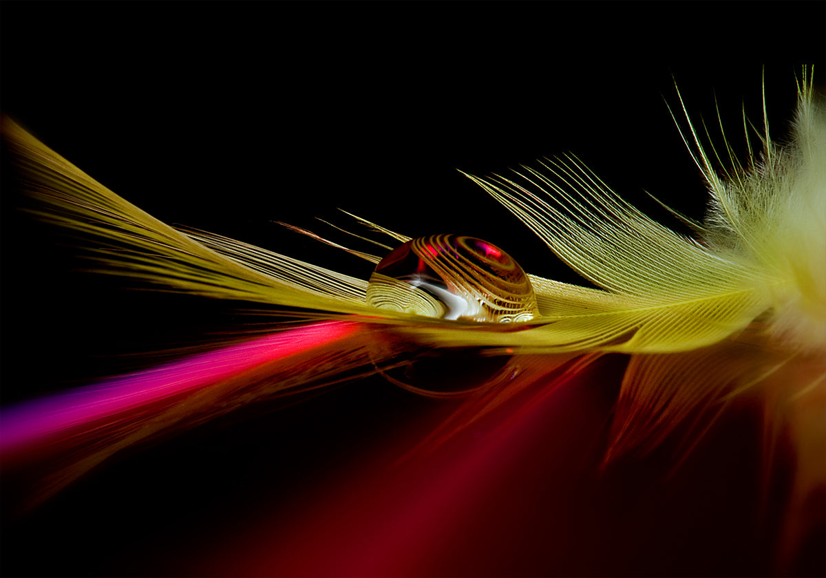 Colors in the drop Poster