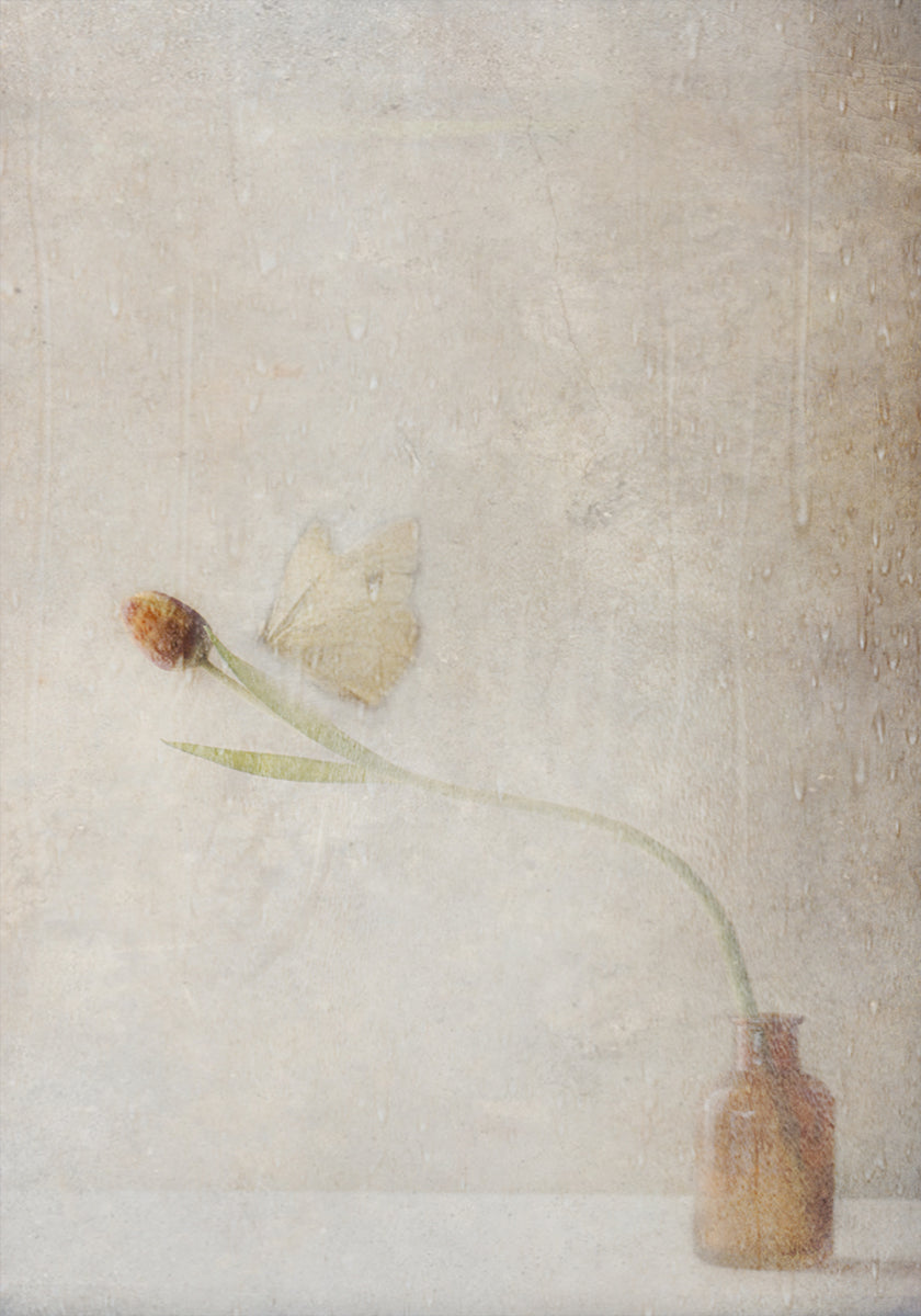 Ephemeral Meeting Poster