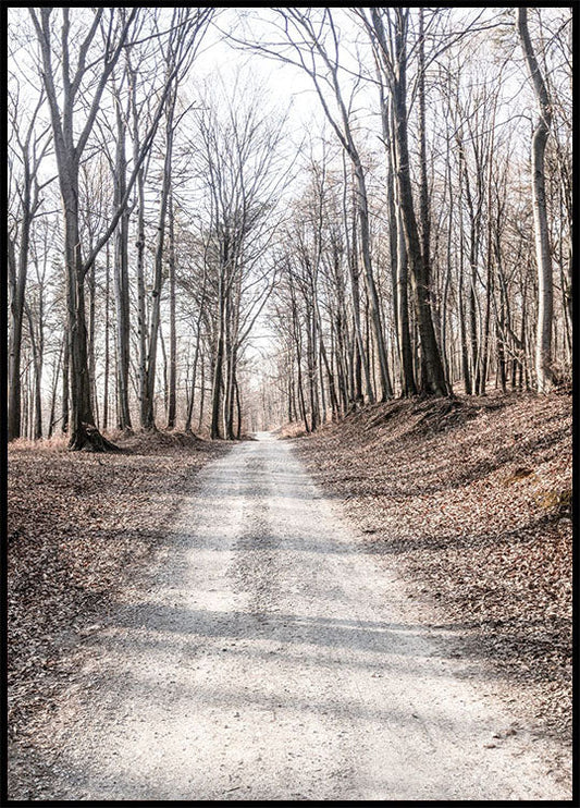 Gravel Road in Forest Plakat - Posterbox.no