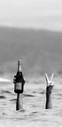 Woman with Wine in Beach Plakat - Posterbox.no